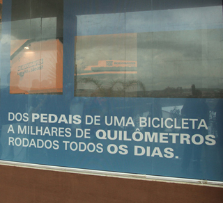 Ana Maria Bóz
